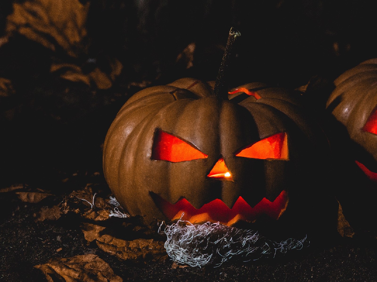 Вечеринка в стиле Хеллоуин – организовываем незабываемый праздник